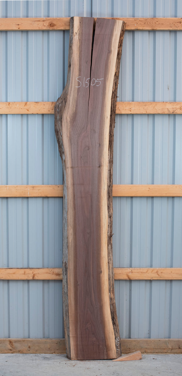 Black Walnut - S1497, Black Walnut - S1503, and Black Walnut - S1505 Trio