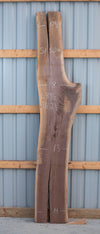 Black Walnut - S1502, Black Walnut - S1504, & Black Walnut - S1506 Trio