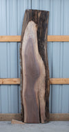 Black Walnut - S1511