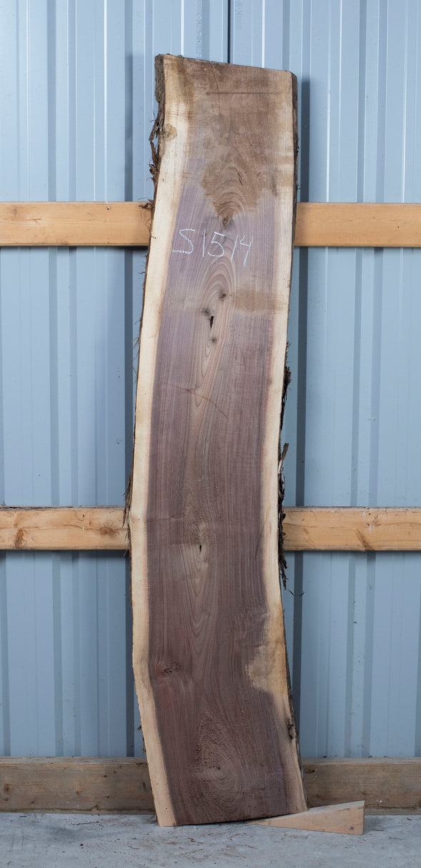 Black Walnut - S1514