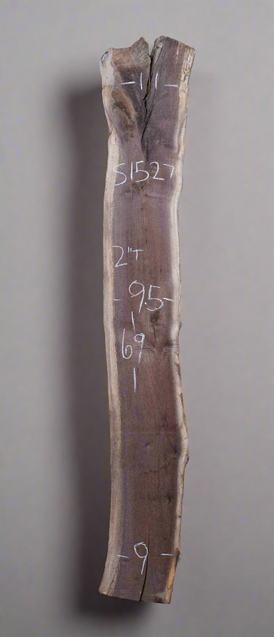 Black Walnut - S1527