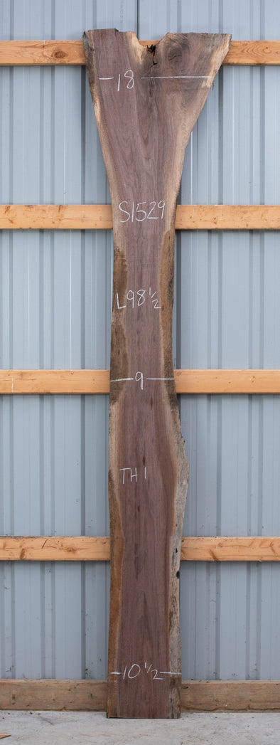 Black Walnut - S1529-A