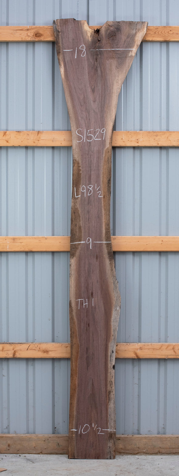 Black Walnut - S1529-A