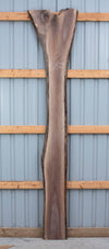 Black Walnut - S1529-A