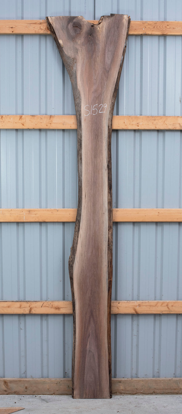 Black Walnut - S1529-A