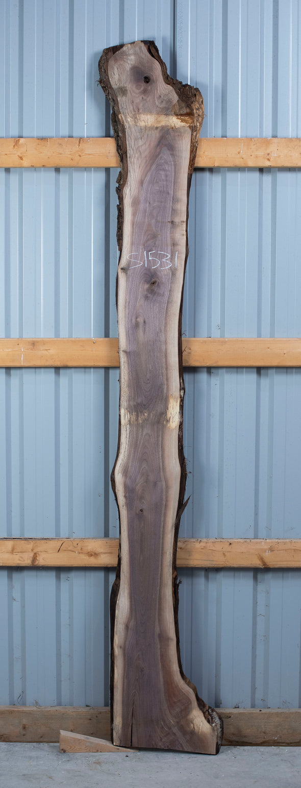 Black Walnut - S1531