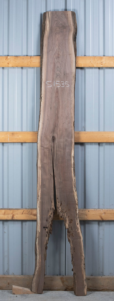 Black Walnut - S1535