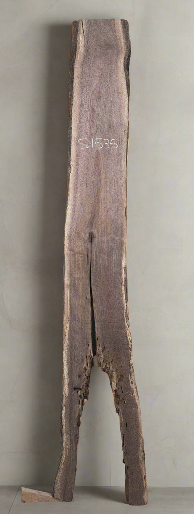 Black Walnut - S1535