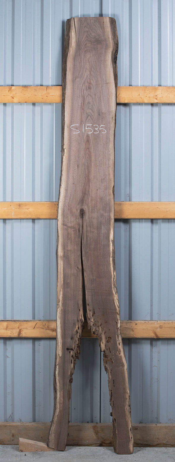 Black Walnut - S1535