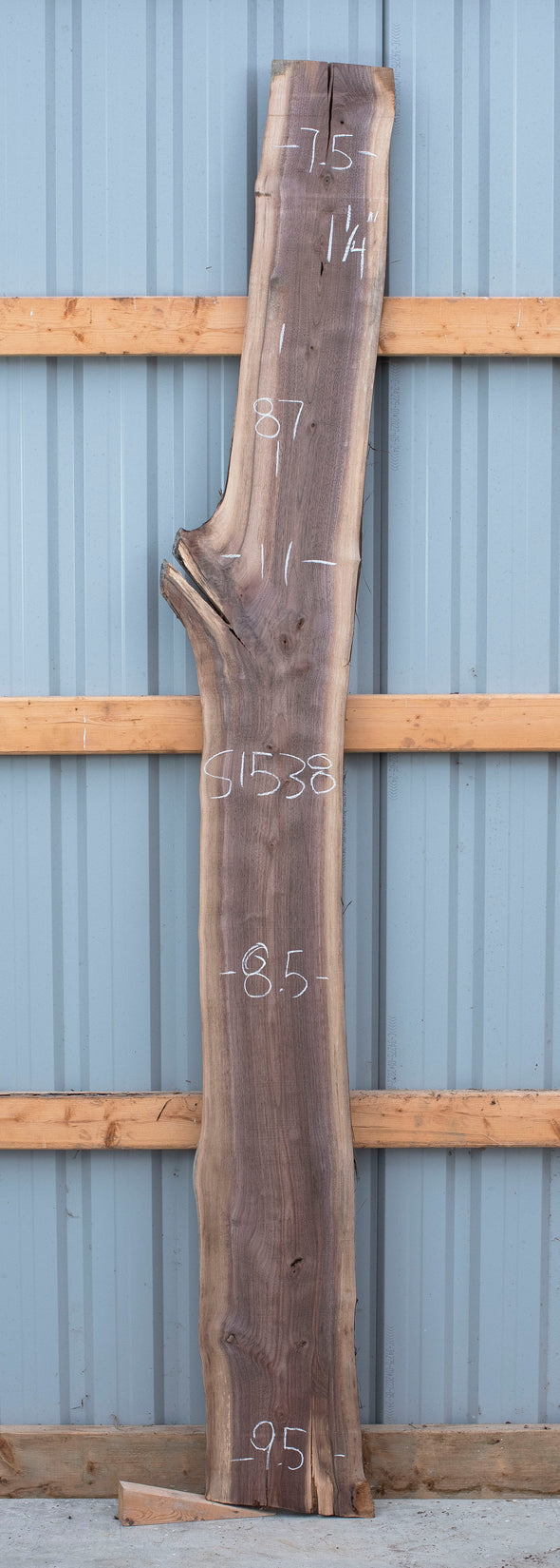 Black Walnut - S1538