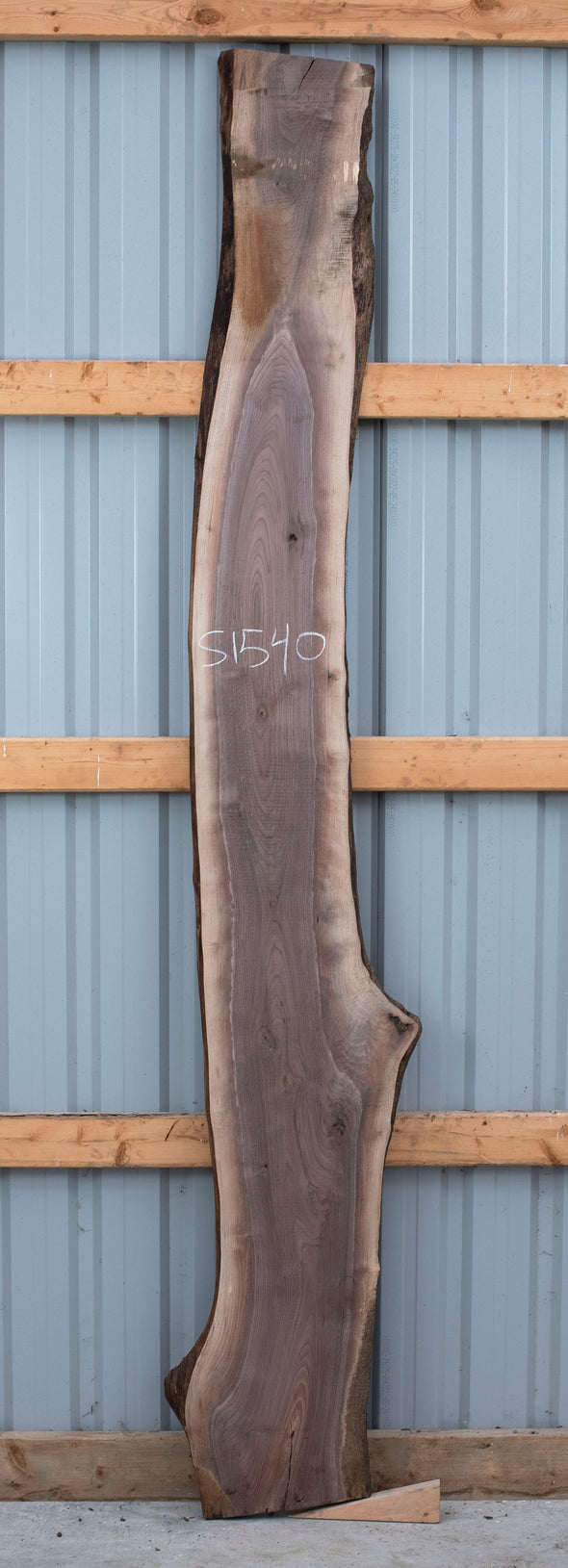 Black Walnut - S1540