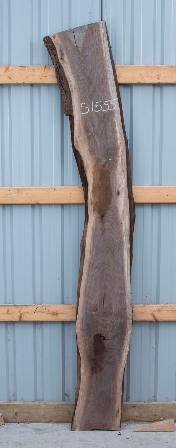 Black Walnut - S1555