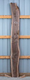 Black Walnut - S1562