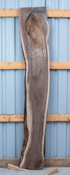 Black Walnut - S1564