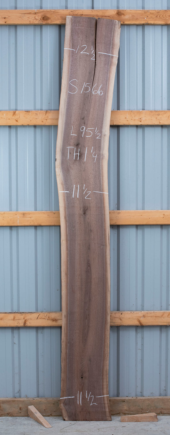 Black Walnut - S1566