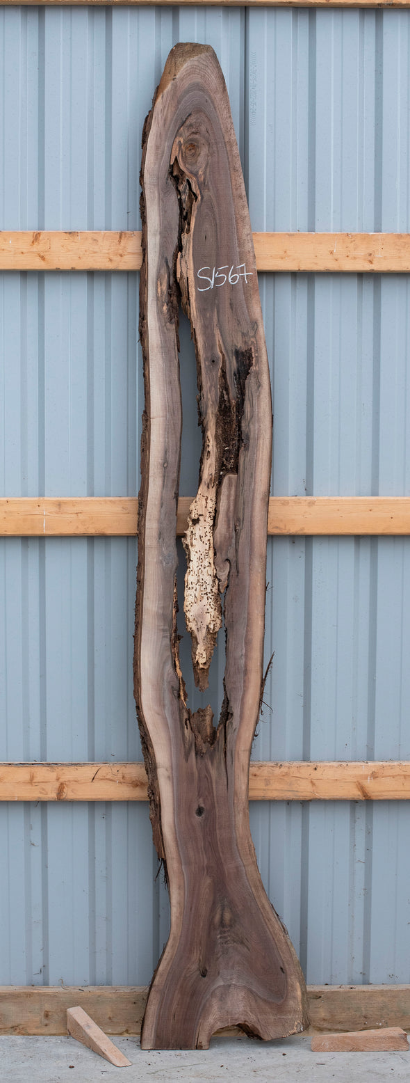 Black Walnut - S1567 and Black Walnut - S1568 Bookmatched Pair