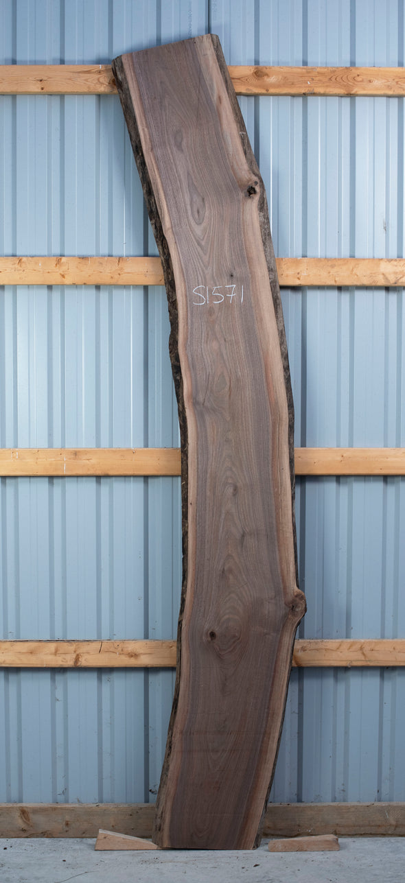 Black Walnut - S1541, Black Walnut - S1571 and Black Walnut - S1576 Trio