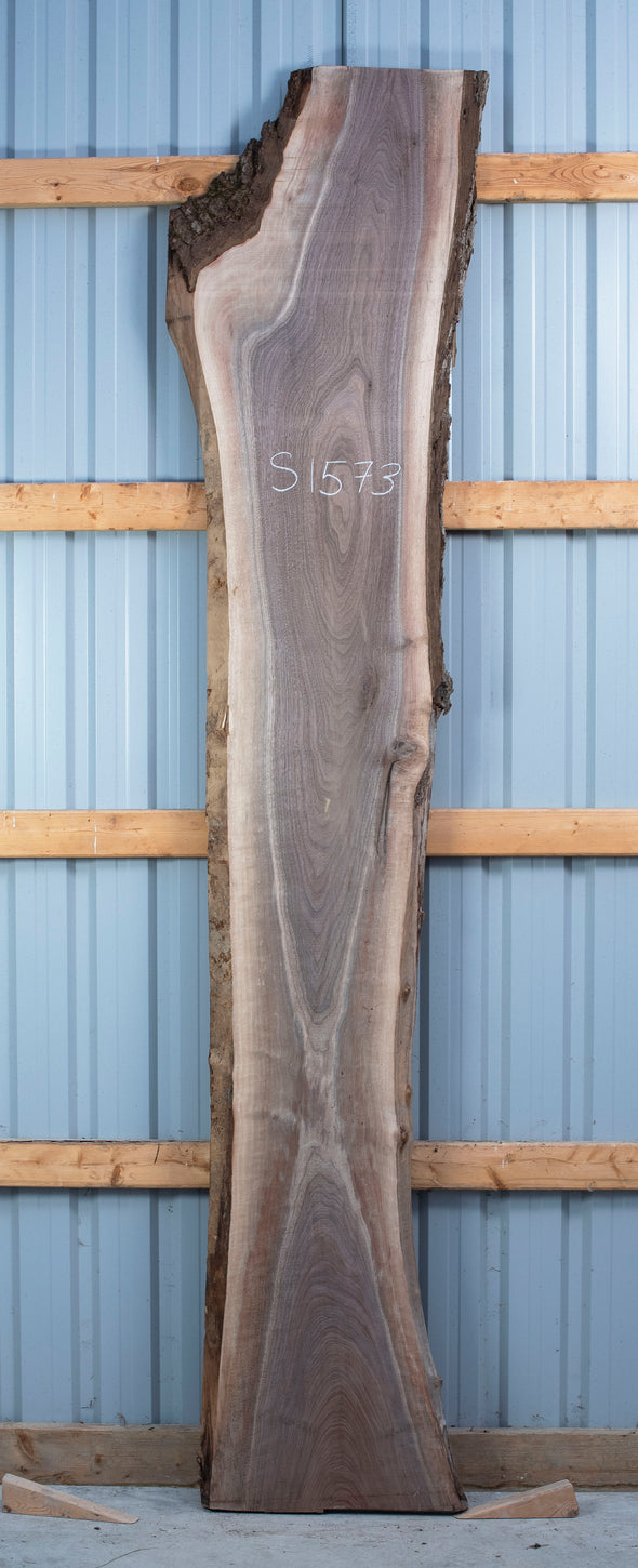 Black Walnut - S1573