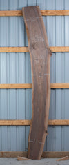 Black Walnut - S1541, Black Walnut - S1571 and Black Walnut - S1576 Trio