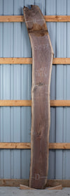 Black Walnut - S1544, Black Walnut - S1572, and Black Walnut - S1577 Bookmatched Trio