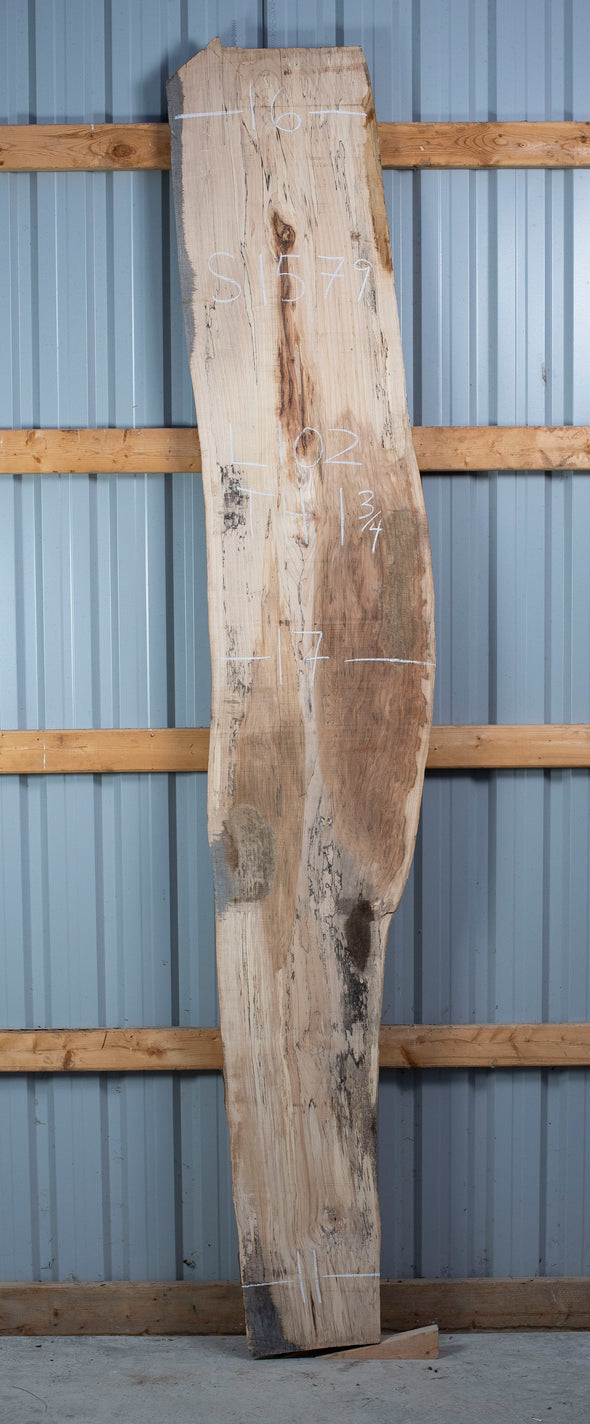 Spalted Maple - S1579