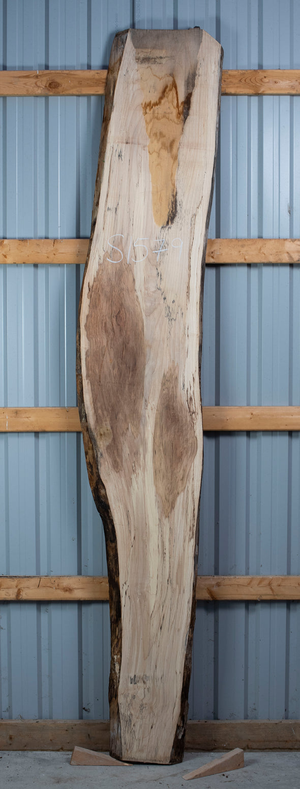 Spalted Maple - S1579