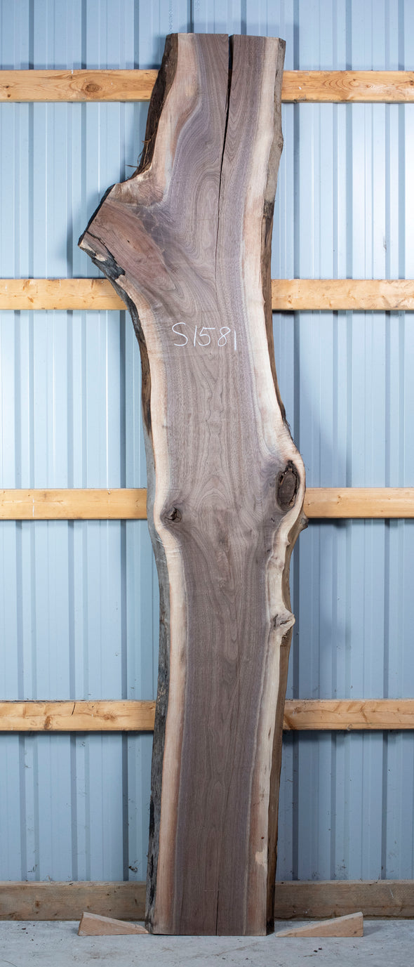 Black Walnut - S1581