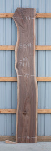 Black Walnut - S1584