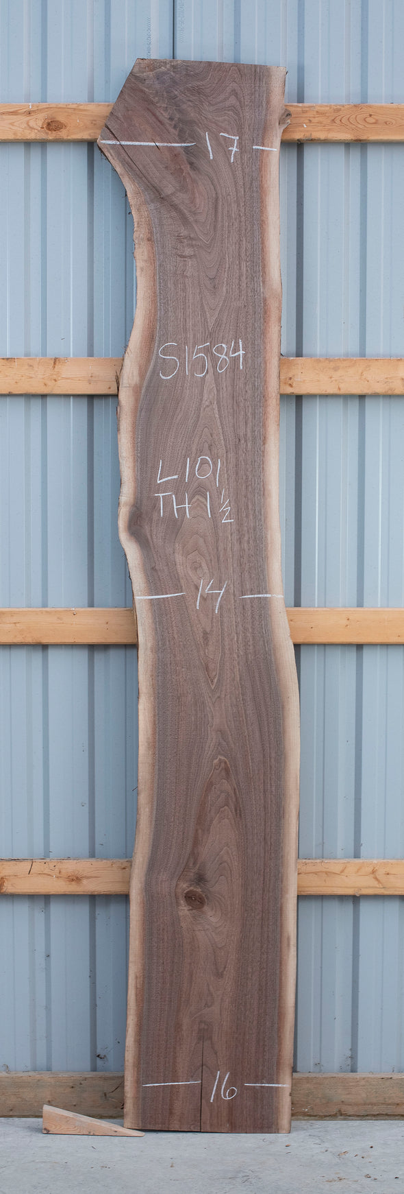 Black Walnut - S1584
