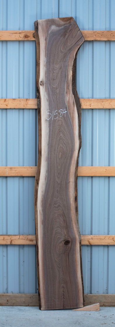 Black Walnut - S1584