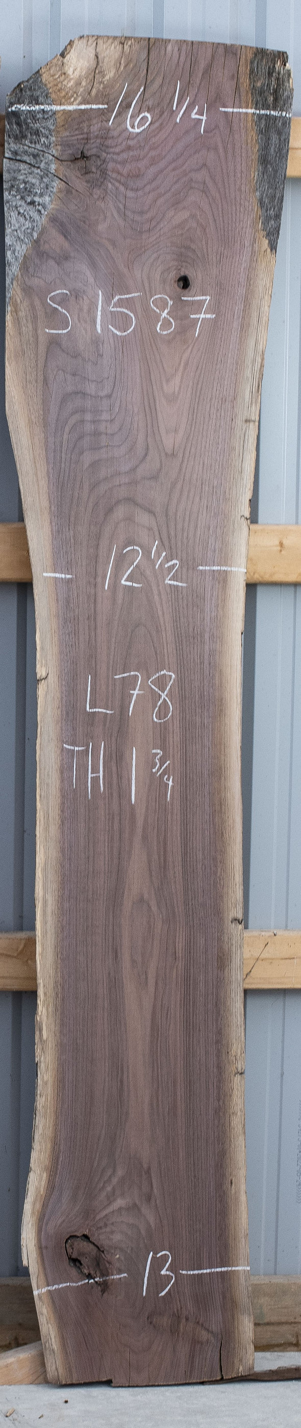 Black Walnut - S1587