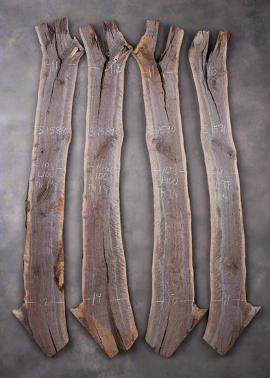 Black Walnut - S1588, Black Walnut - S1589, Black Walnut - S1590 & Black Walnut - S1591 Quad