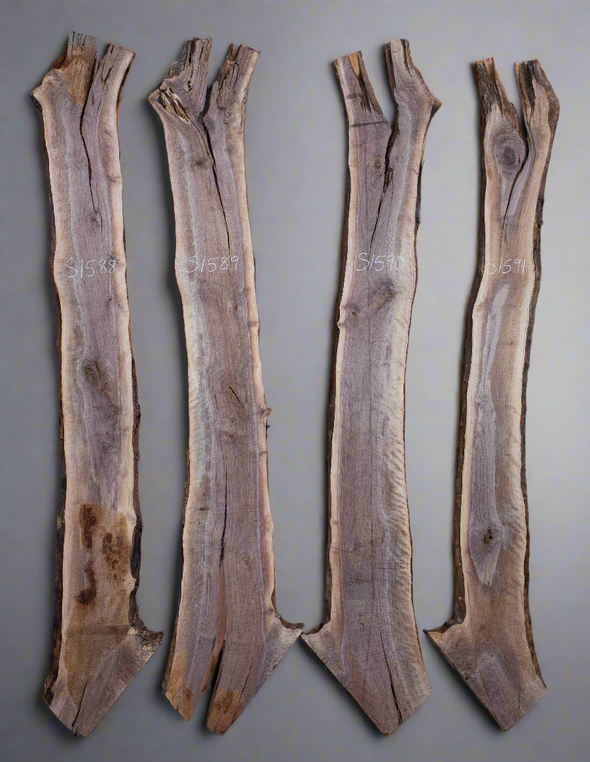 Black Walnut - S1588, Black Walnut - S1589, Black Walnut - S1590 & Black Walnut - S1591 Quad