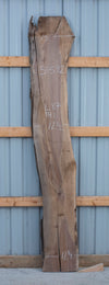 Black Walnut - S1592