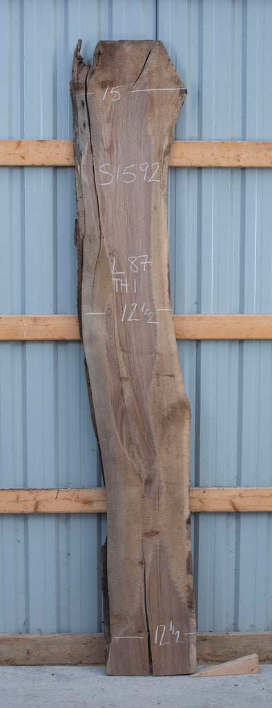 Black Walnut - S1592