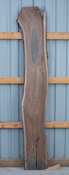 Black Walnut - S1592