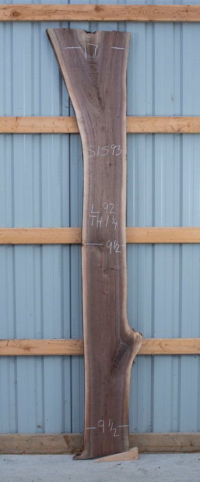 Black Walnut - S1593