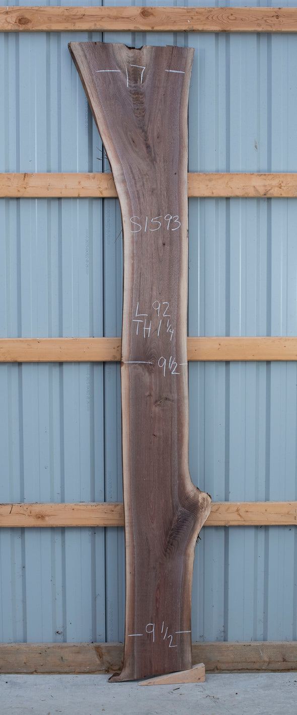Black Walnut Live Edge Slab - S1593