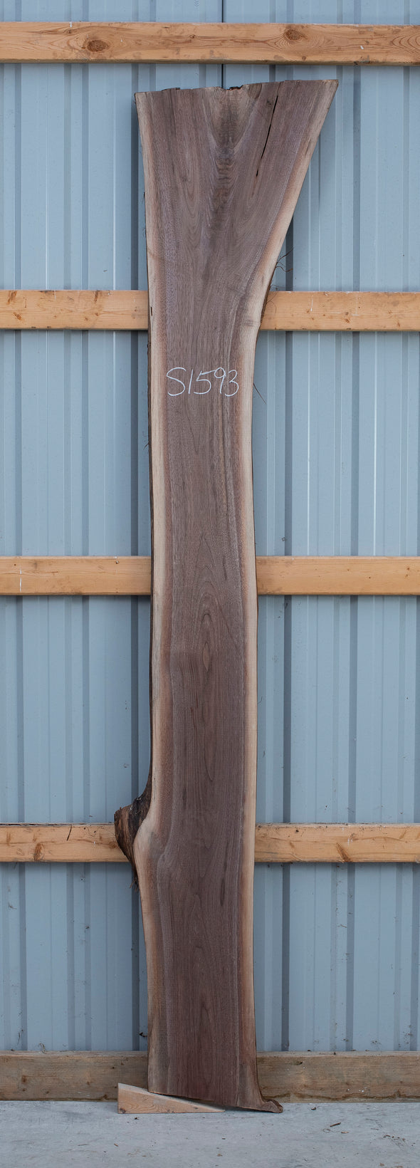 Black Walnut Live Edge Slab - S1593