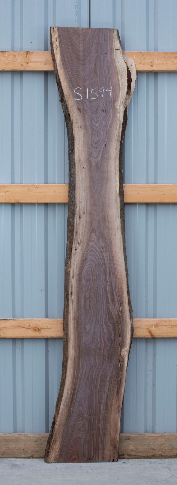 Black Walnut Live Edge Slab - S1594