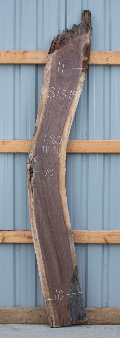 Black Walnut - S1595