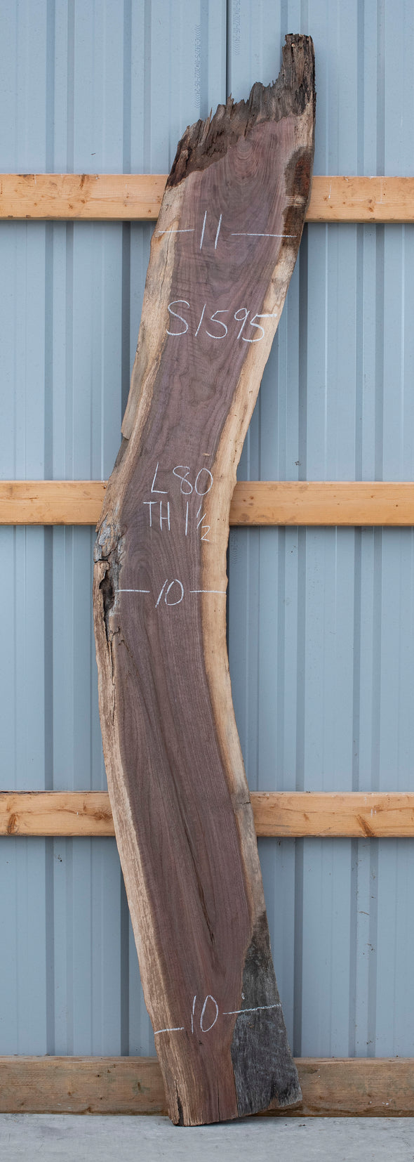 Black Walnut - S1595