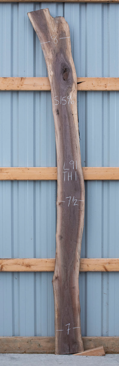 Black Walnut - S1596