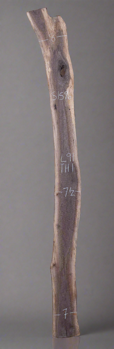 Black Walnut Live Edge Slab - S1596