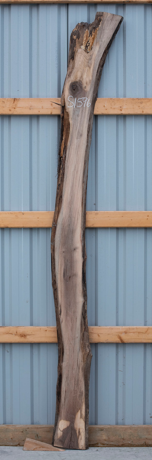 Black Walnut Live Edge Slab - S1596