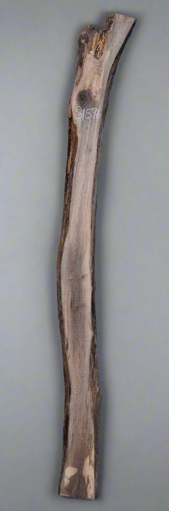 Black Walnut Live Edge Slab - S1596