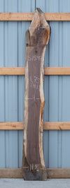 Black Walnut Live Edge Slab - S1597
