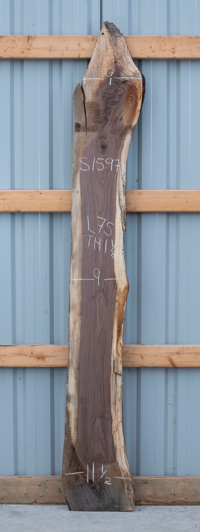 Black Walnut - S1597