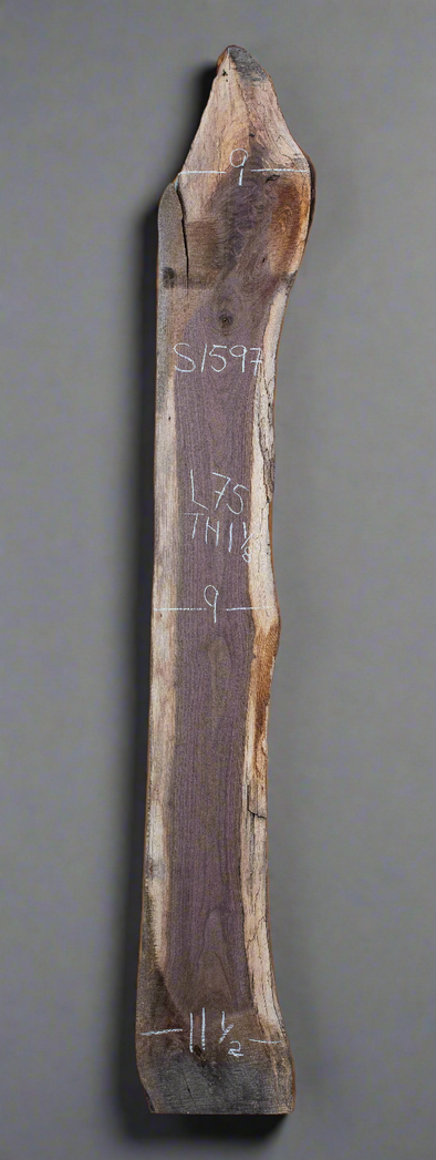 Black Walnut Live Edge Slab - S1597