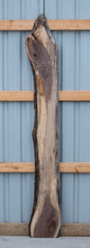 Black Walnut Live Edge Slab - S1597